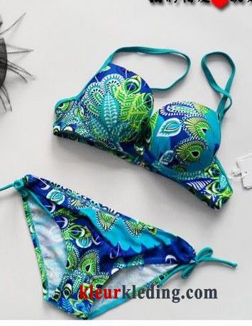 Bikini Grote Bh Zwemkleding Staal Kleur Helder Grote Kop Zwempak Dames