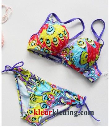 Bikini Grote Bh Zwemkleding Staal Kleur Helder Grote Kop Zwempak Dames