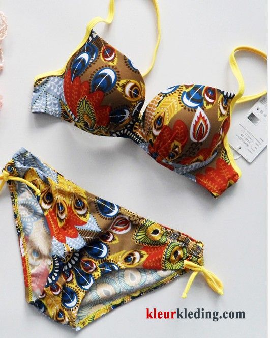 Bikini Grote Bh Zwemkleding Staal Kleur Helder Grote Kop Zwempak Dames