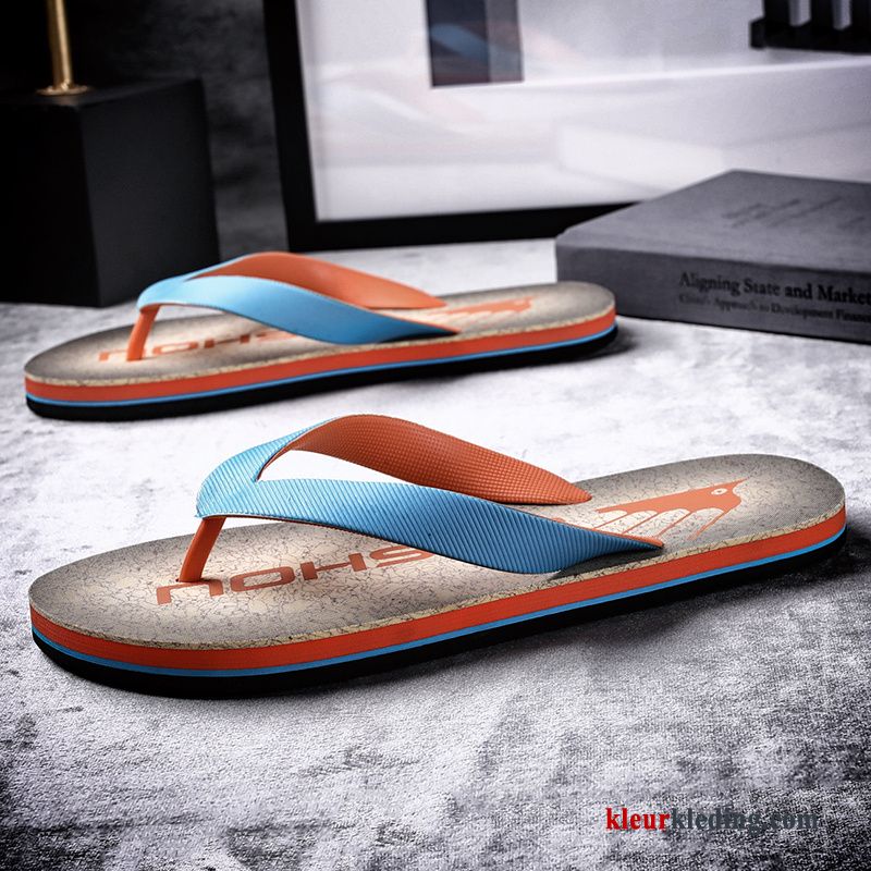 Flip Flops Antislip Casual Bovenkleding Pantoffels Alle Wedstrijden Mode Schoenen Zomer Heren Blauw