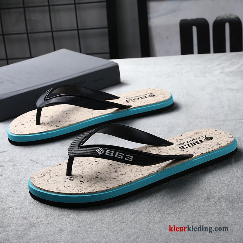 Flip Flops Antislip Casual Bovenkleding Pantoffels Alle Wedstrijden Mode Schoenen Zomer Heren Blauw