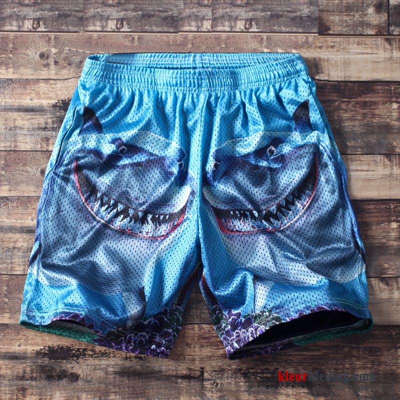 Heren Korte Broek Grote Maten Strand Sport Vet Mannelijk Blauw Zomer