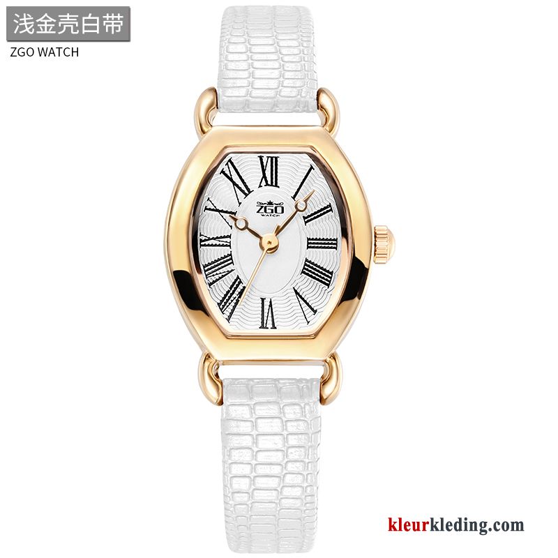 Student Casual Horloge Dames Eenvoudig Vintage Riem Trend Bruine