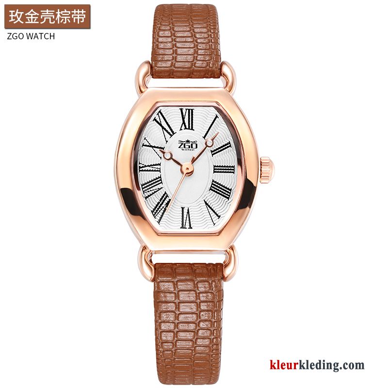 Student Casual Horloge Dames Eenvoudig Vintage Riem Trend Bruine