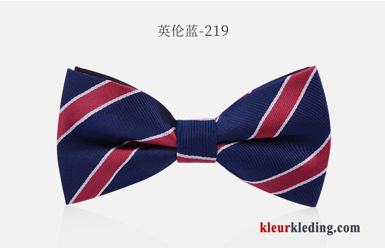 Vlinderdas Business Brits Dames Banket Heren Bruidegom Geklede Blauw