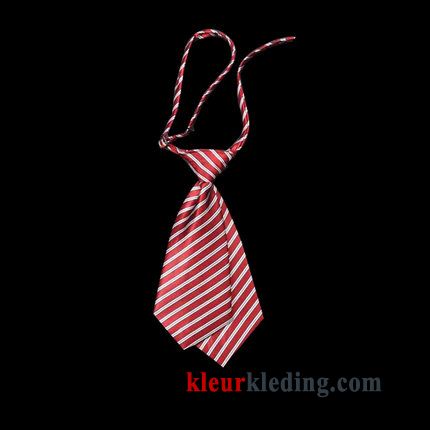 Werk Dames Stropdas Stewardess Student Geklede Vlinderdas Bloem Kraag Rood Zilver