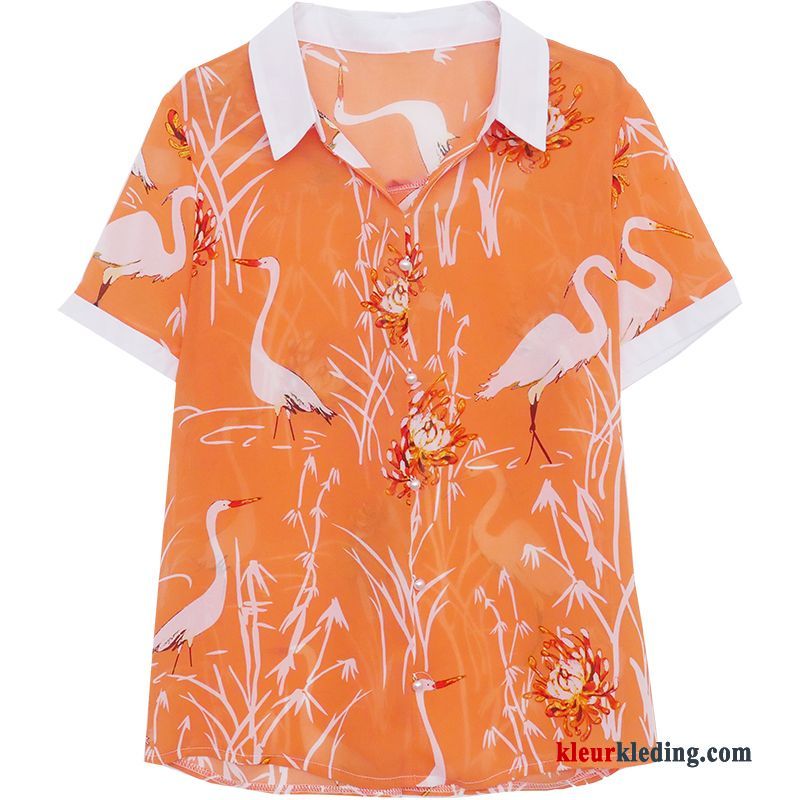 Blouse Overhemd Chiffon Ontwerp Zomer Grote Maten Dames Jasje Nieuw Oranje