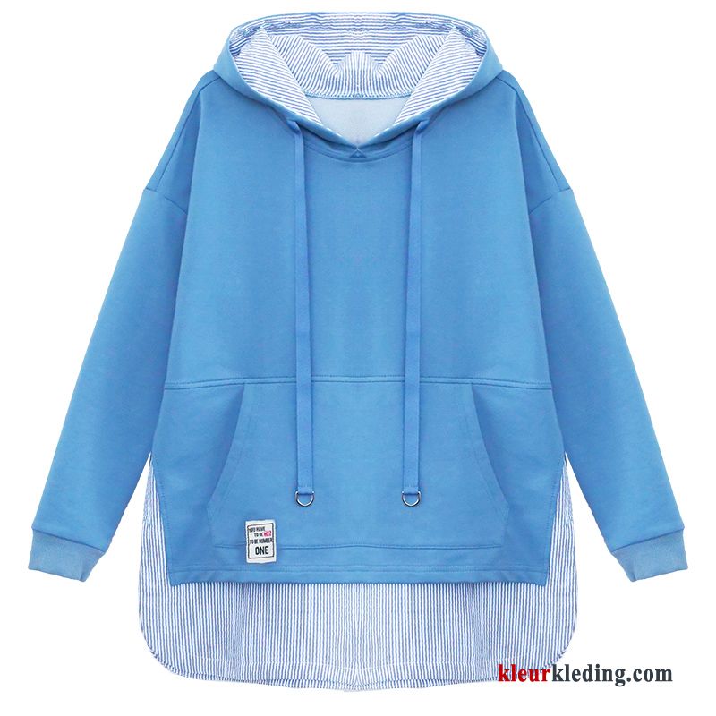 Dames Hoodie Jas Jasje Trend Voorjaar Blauw Herfst Nieuw Lange Mouwen