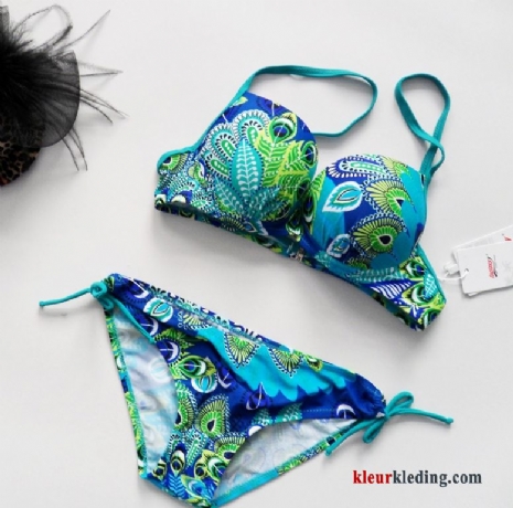 Bikini Grote Bh Zwemkleding Staal Kleur Helder Grote Kop Zwempak Dames