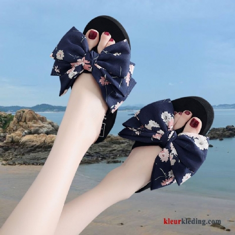 Dames Slipper Trend Schoenen Sleehak Zomer Strand Mode Licht Pantoffels Blauw Beige