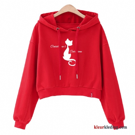 Hoodie Super Jas Losse Dames Nieuw Voorjaar Dunne Student