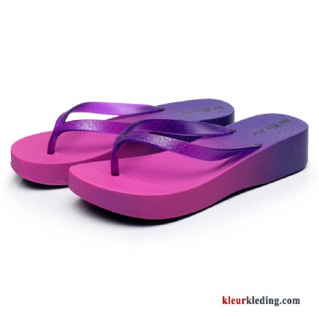 Slipper Pantoffels Zomer Purper Vrouwen Hoge Hakken Strand Antislip Sleehak Dames